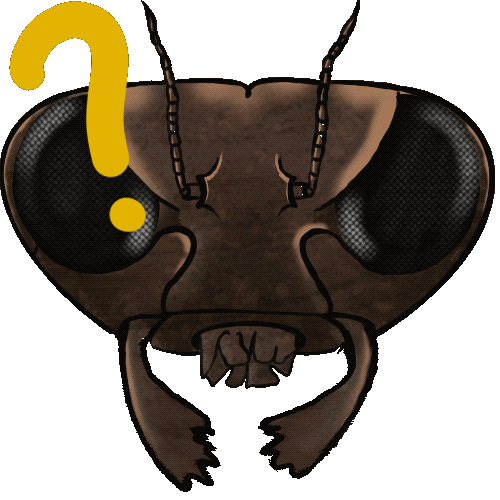 File:Ant questions by HolyChicken.gif