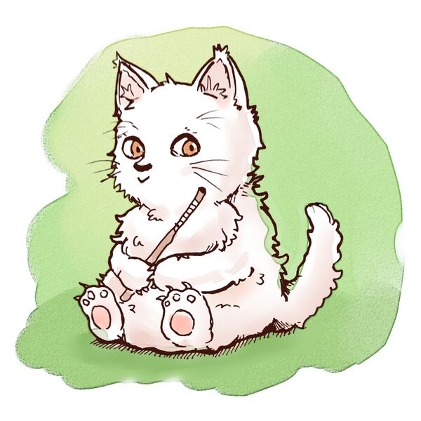 File:Mrsha by ccyan.jpg