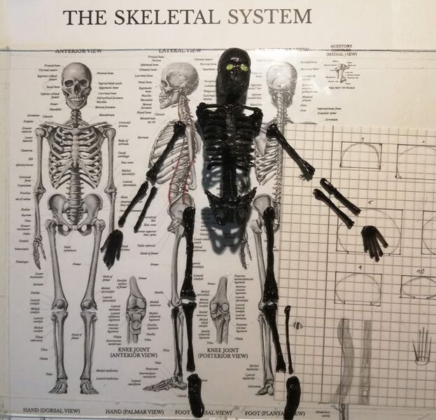 File:Ijvani2 by MrMomo.jpg
