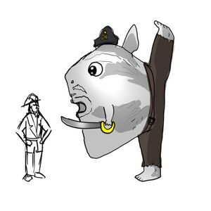 Drowned mola mola by MG.jpg