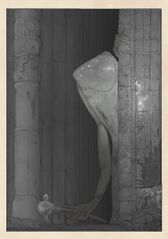 Snatcher (black and white) (commissioned by Pirateaba)