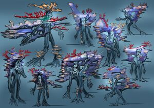 Sea beard study by MG.jpg