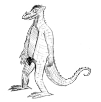 Drake by Scrooge MacDuck