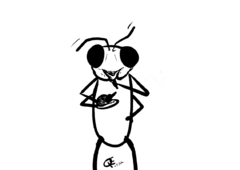 Bird animation by HolyChicken